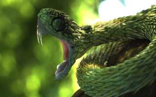 Самые необычные змеи в мире